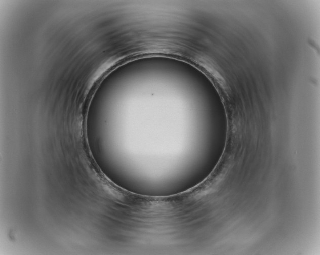 X0000099300933200805021228