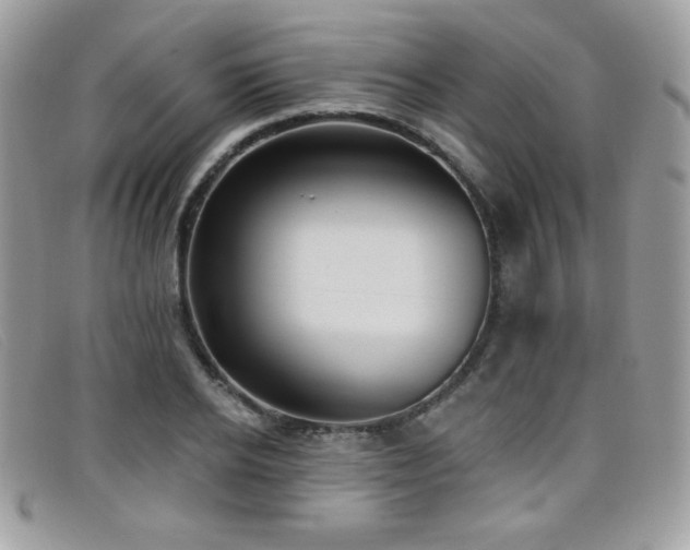 X0000099300934200805021228