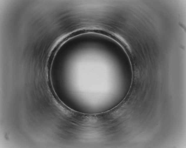 X0000099300935200805021228