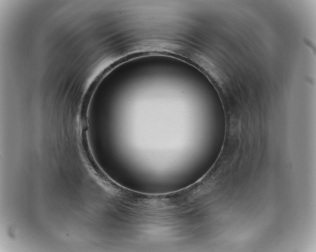 X0000099300936200805021228