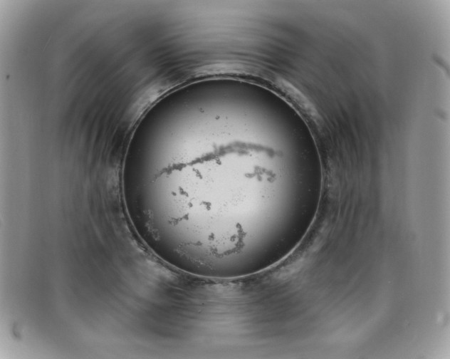 X0000099300937200805021228