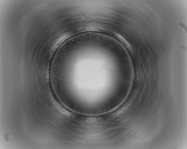 X0000099300938200805021228