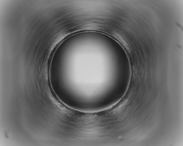 X0000099300939200805021228