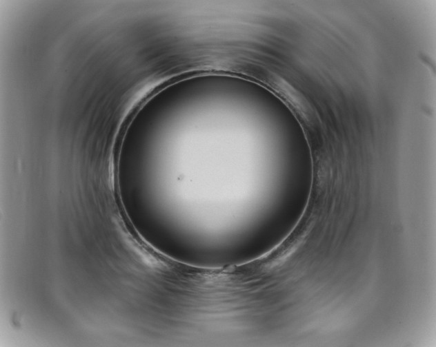 X0000099300940200805021228