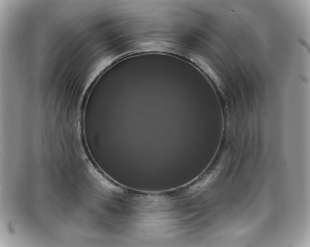 X0000099300941200805021228