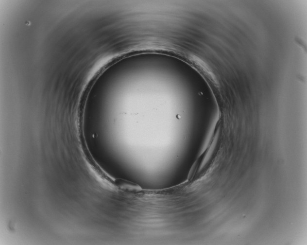 X0000099300942200805021228