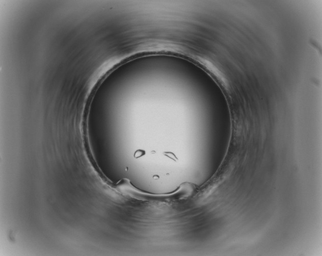 X0000099300943200805021228