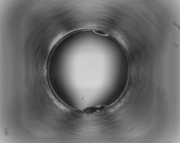 X0000099300944200805021228