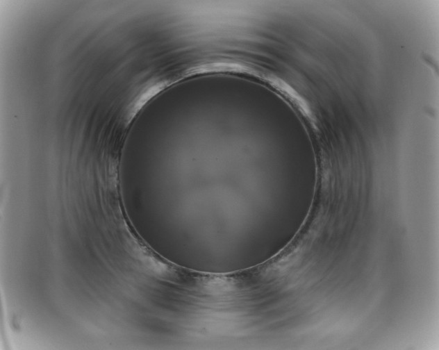 X0000099300945200805021228