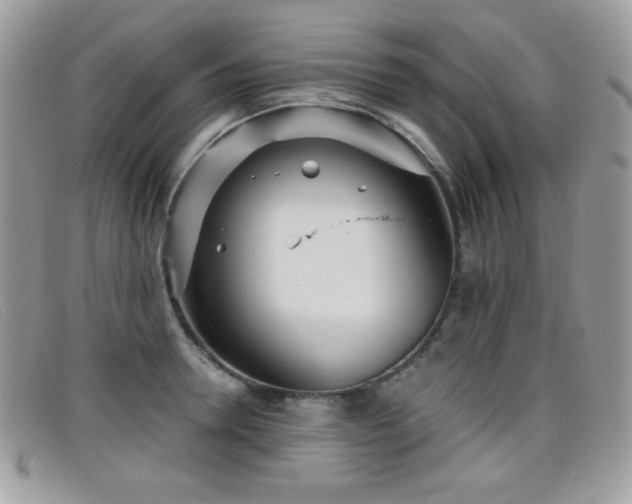 X0000099300946200805021228