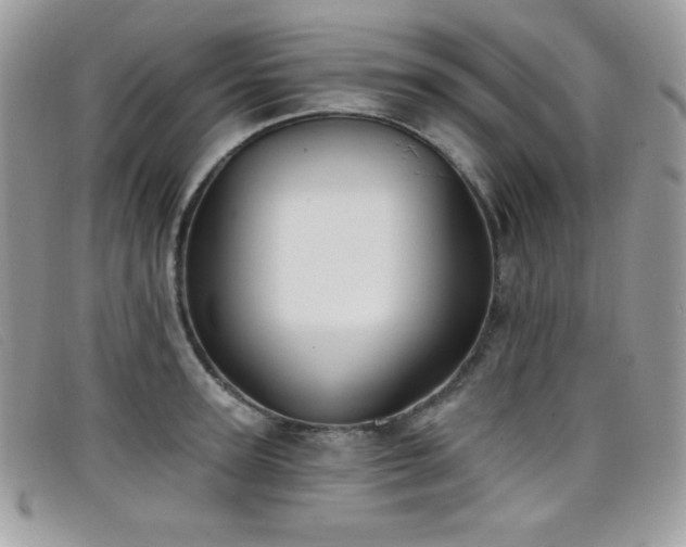 X0000099300947200805021228