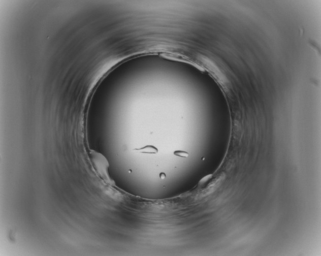 X0000099300948200805021228