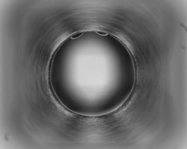 X0000099300949200805021228