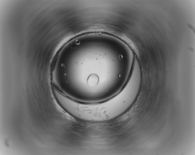 X0000099300950200805021228