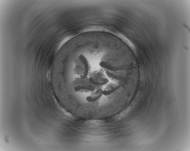 X0000099300953200805021228