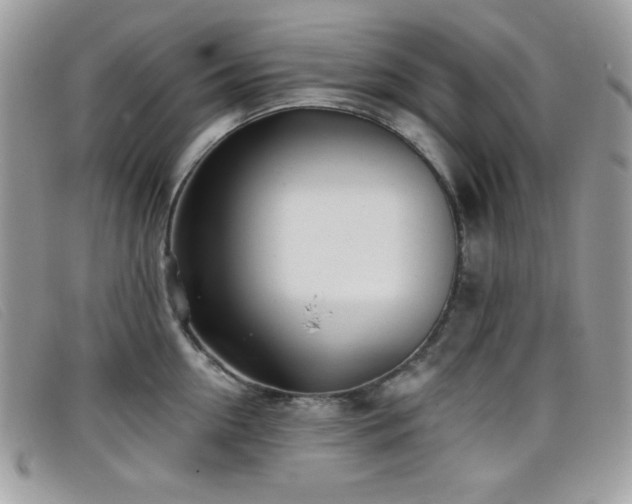 X0000099300954200805021228