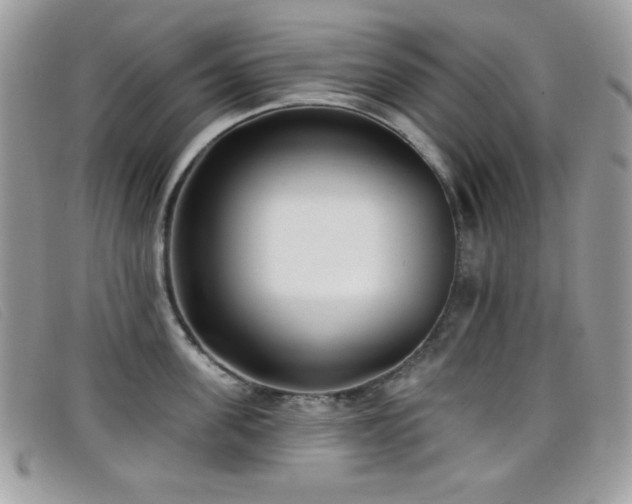 X0000099300955200805021228