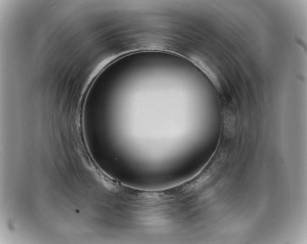 X0000099300956200805021228