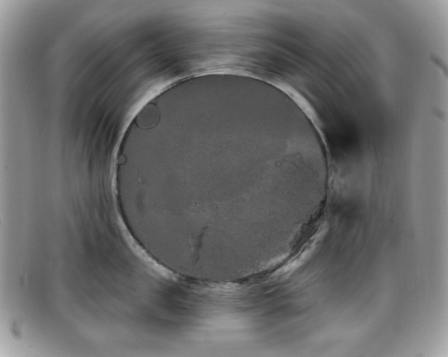 X0000099300957200805021228