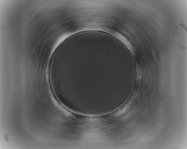 X0000099300958200805021228