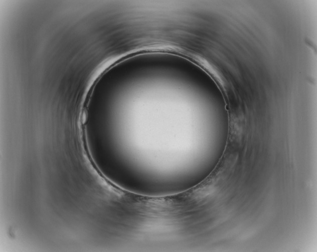 X0000099300959200805021228