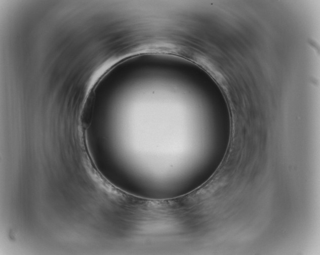 X0000099300960200805021228