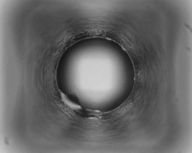 X0000099300961200805021228