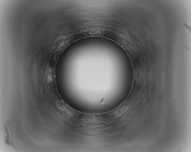 X0000099300962200805021228