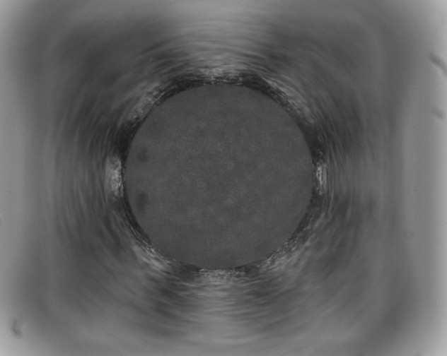 X0000099300963200805021228