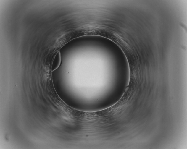 X0000099300964200805021228