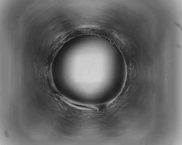 X0000099300965200805021228