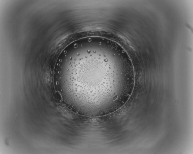 X0000099300966200805021228