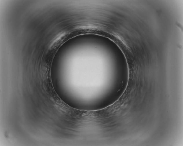 X0000099300967200805021228