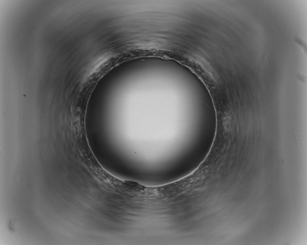 X0000099300968200805021228