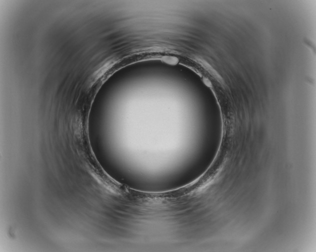 X0000099300969200805021227