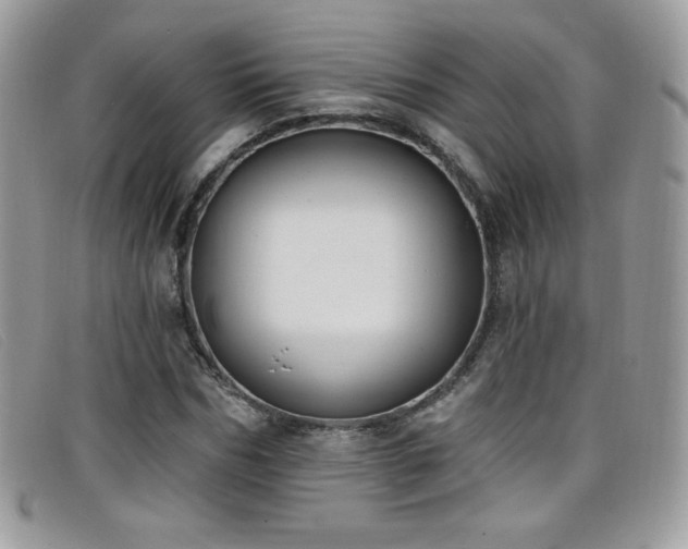 X0000099300970200805021227