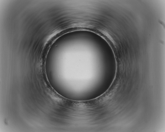 X0000099300971200805021227