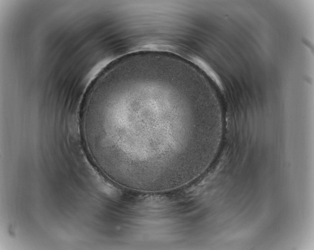 X0000099300972200805021227