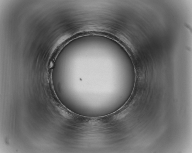 X0000099300974200805021227