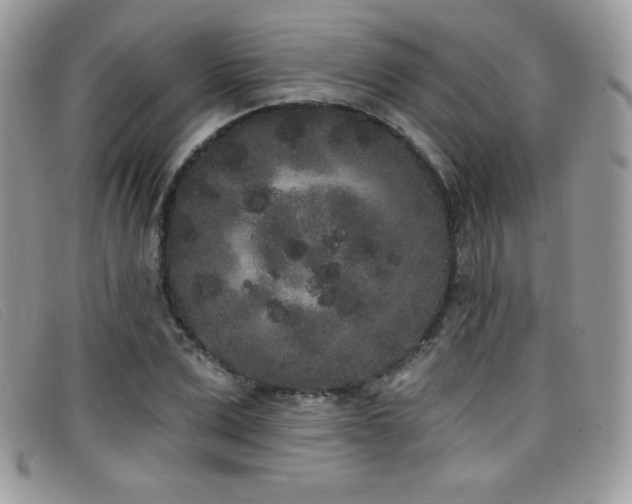 X0000099300975200805021227