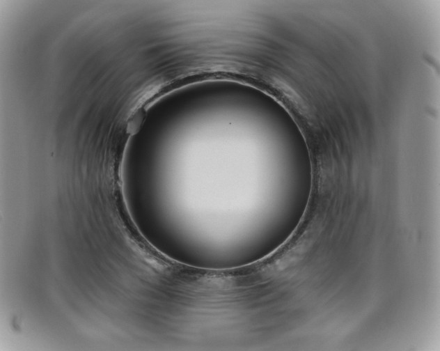 X0000099300977200805021227