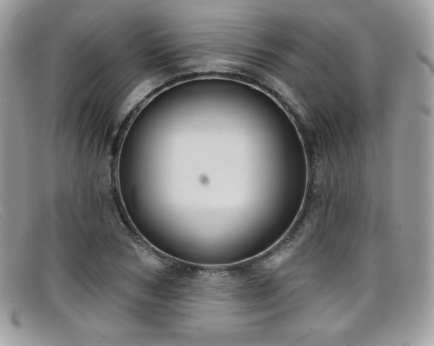 X0000099300978200805021227