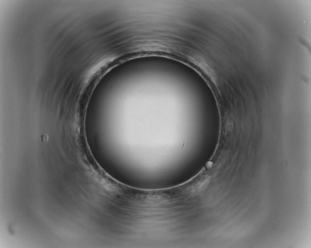 X0000099300979200805021227