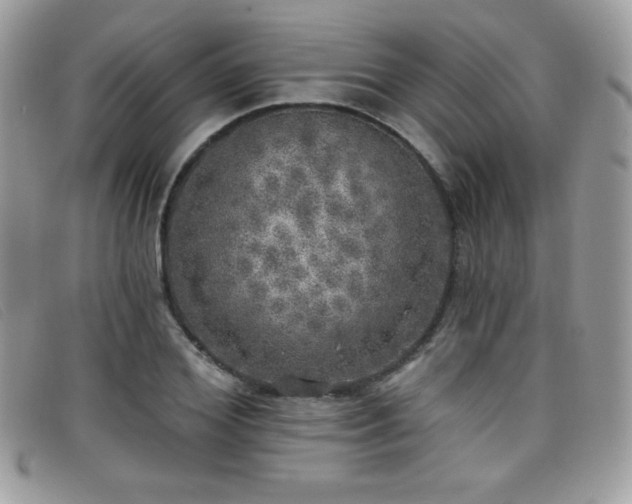 X0000099300980200805021227