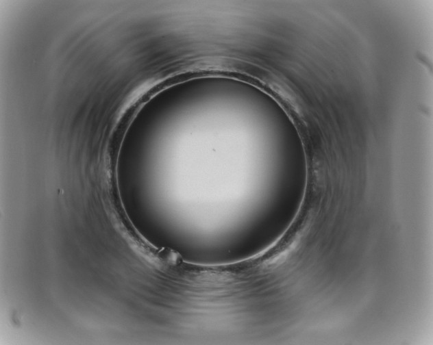 X0000099300981200805021227