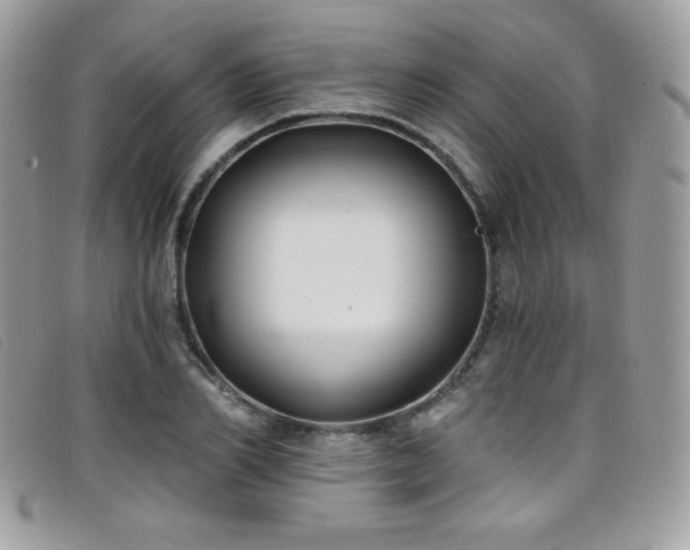 X0000099300982200805021227