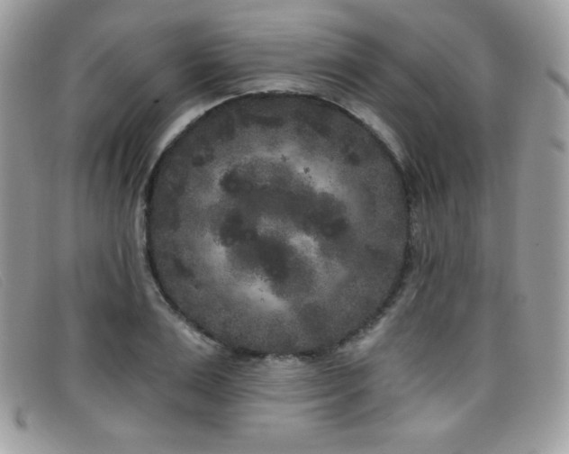 X0000099300983200805021227