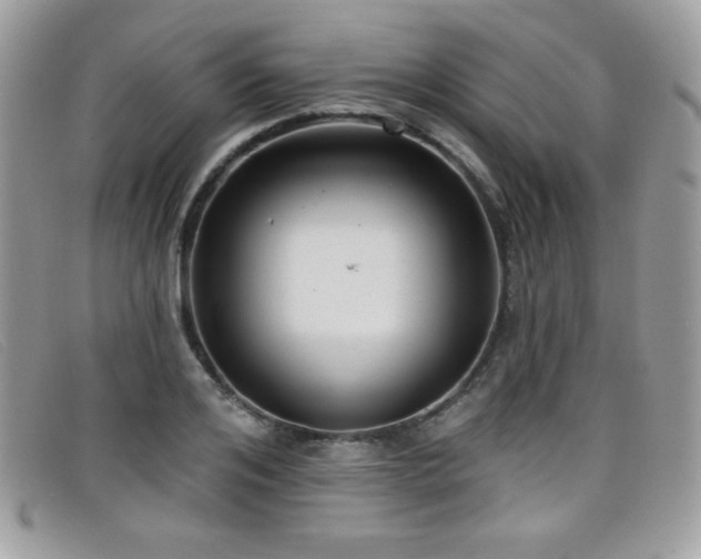 X0000099300984200805021227