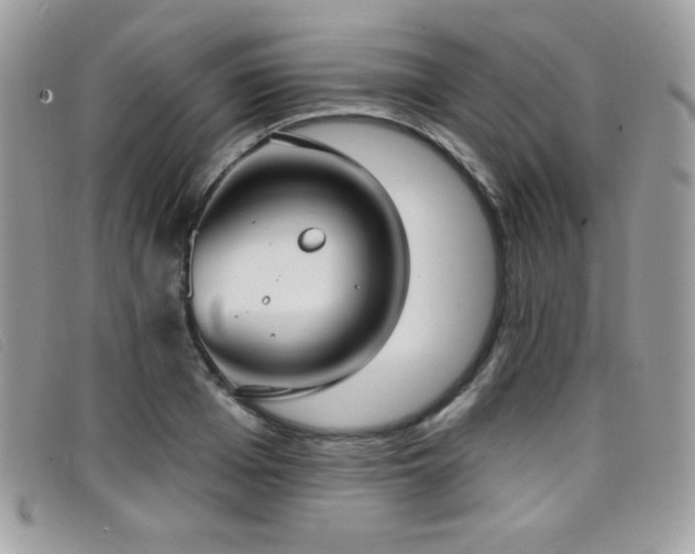 X0000099300985200805021227