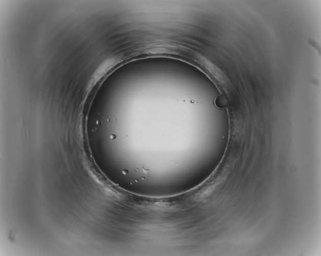 X0000099300986200805021227